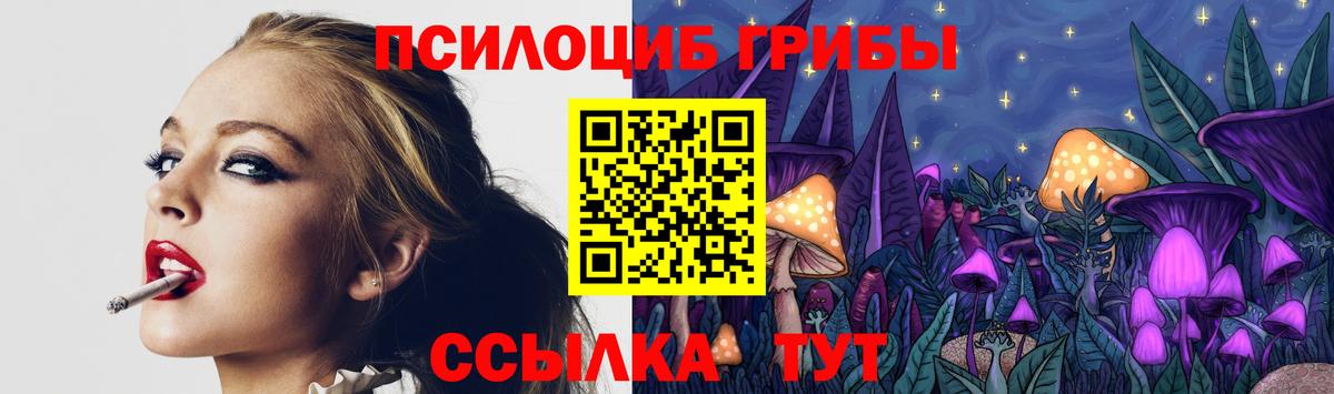Галлюциногенные грибы прущие грибы  Псилоцибиновые грибы Magic Shrooms  Серов  Вход с VPN 